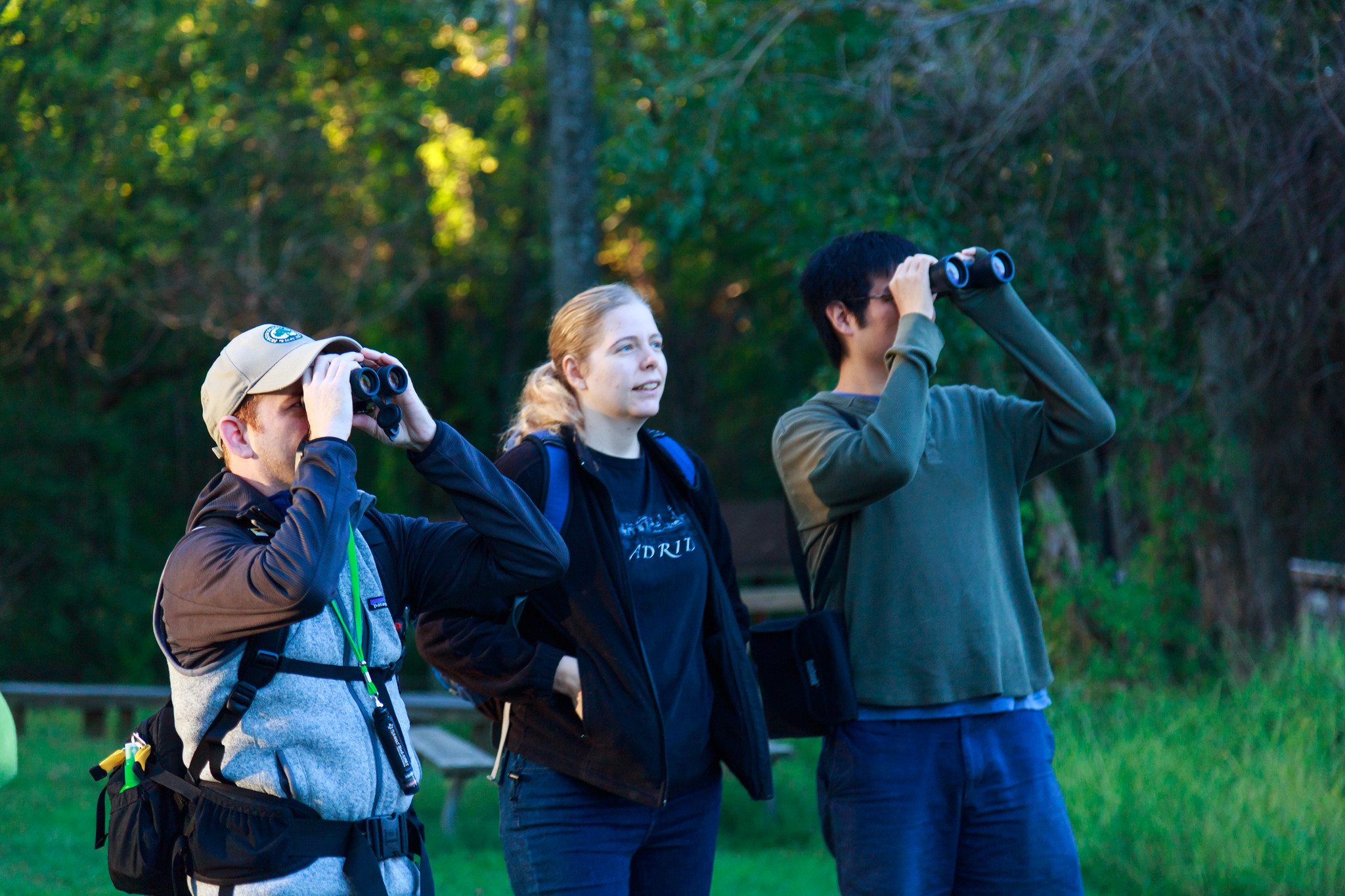 A group of people birding and looking through binoculars
