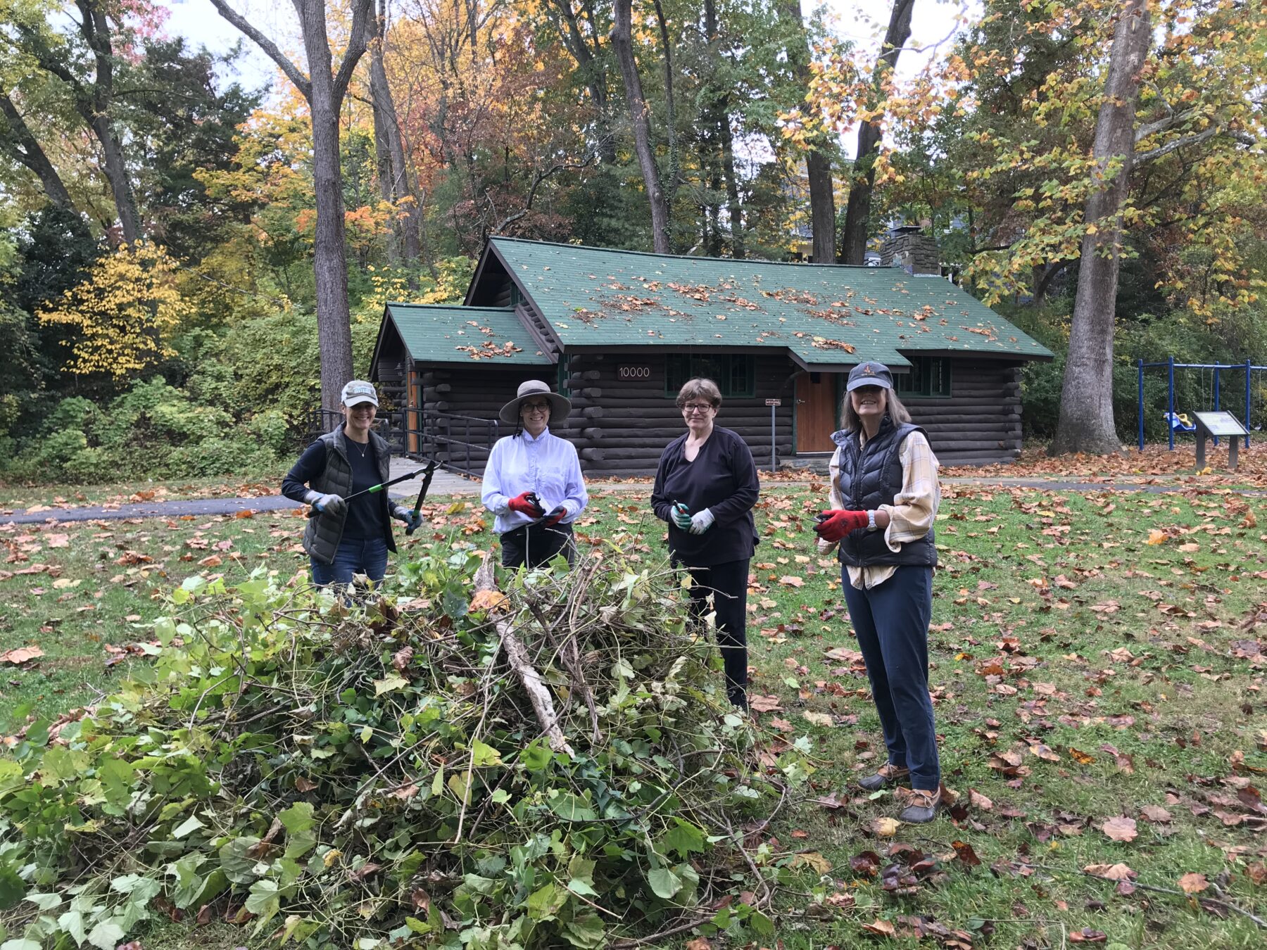 Volunteers with cut vines