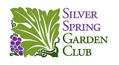 branding for Silver Spring Garden Club