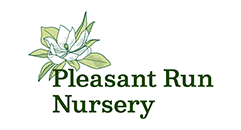 branding pleasant run nursery