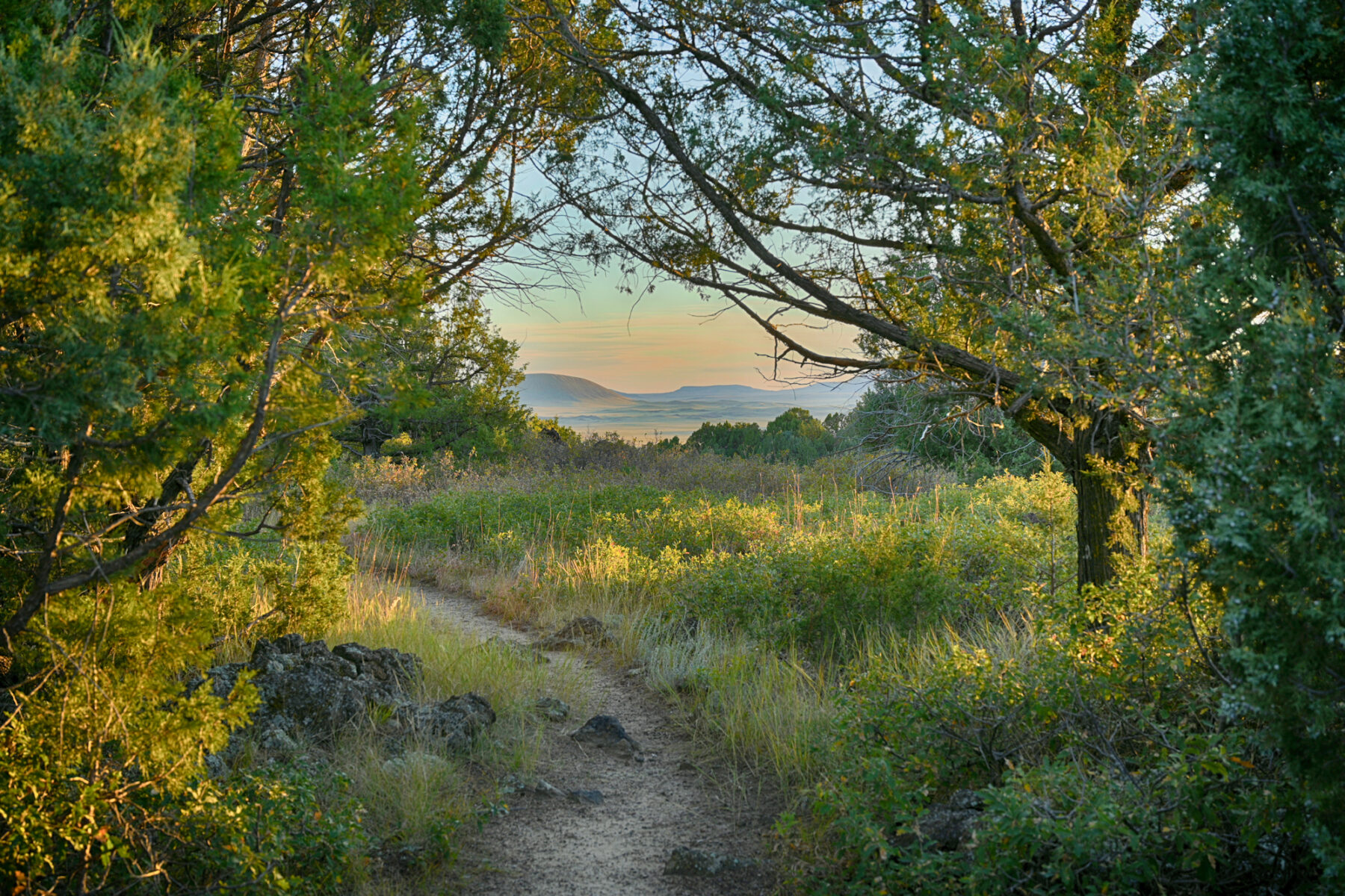 A photography titled "End of the trail Capulin National Park, NM" by Jim Schlett that shows a winding trail in the center of the photo edged by trees with mountains in the distance