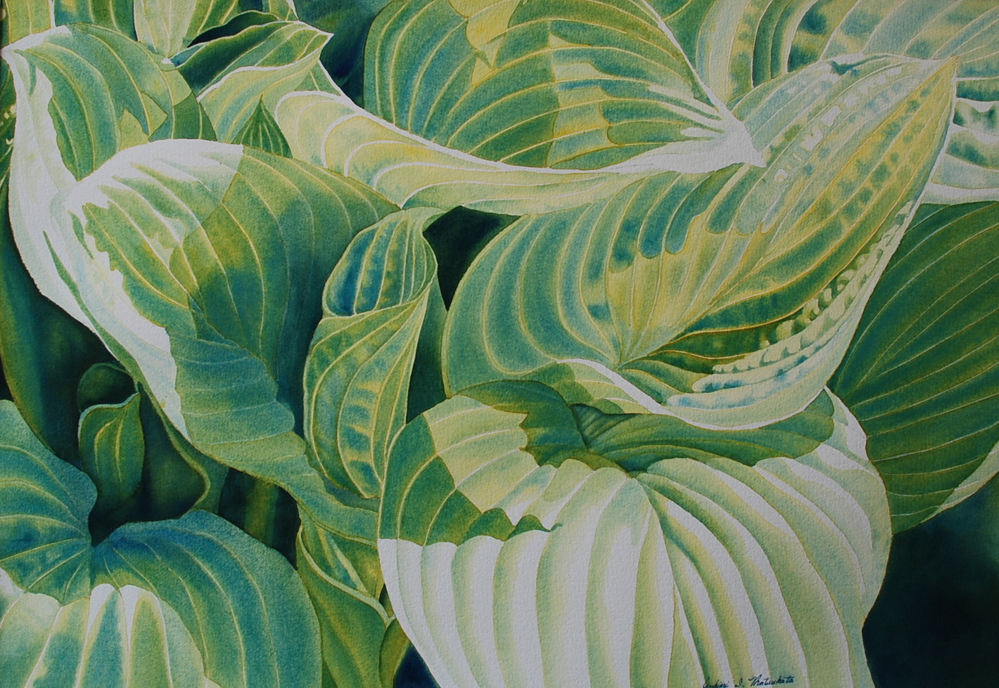 A watercolor titled "Hidden Treasures" by Yoshini S Matsukata that shows variegated hosta leaves in shades of cream, green and blue-green