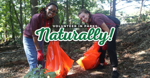 volunteer in the parks branding