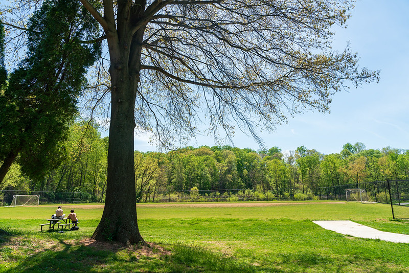 Two people sit at a picnic table under a large tree in front of an athletic field at Ken-Gar Palisades Local Park