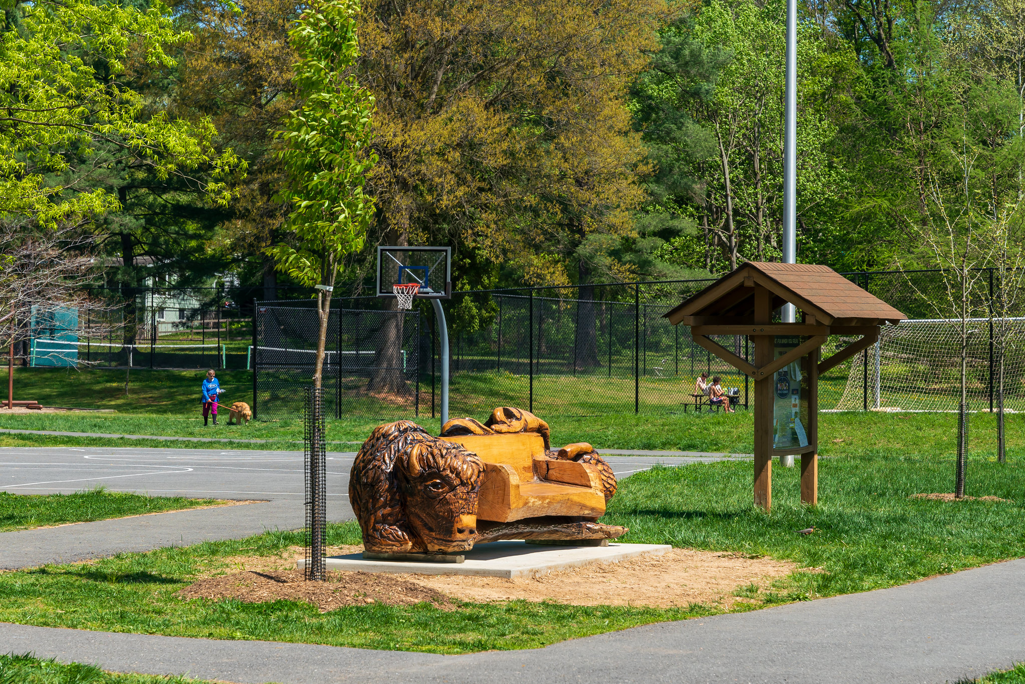 Ken-Gar Palisades Park includes a bench carved out of oak depicting a bison, a basketball hoop, trails, kiosk and fenced field in the background.