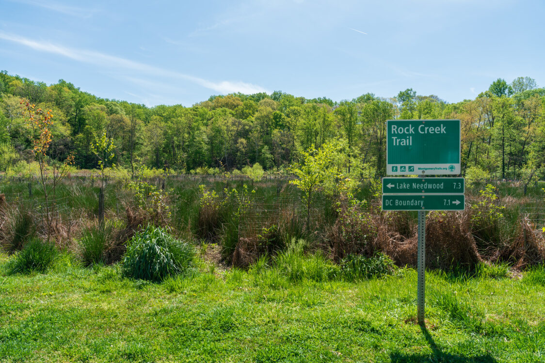 View of wetland area at Ken-Gar Palisades Local Park