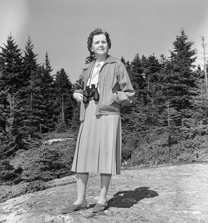 Rachel Carson standing on a rock with binoculars around her neck and woods in the background.