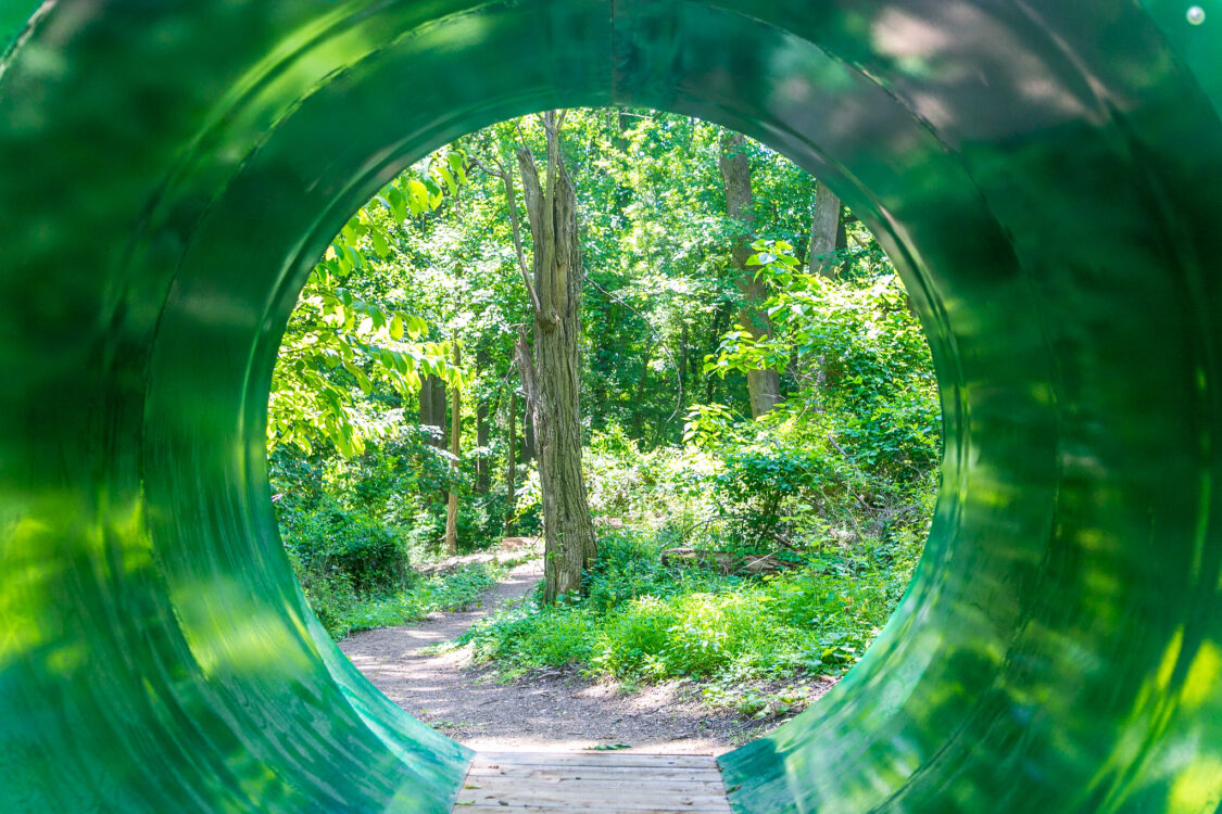 Wheaton Regional Park - Wheaton Gravity Mountain Bike Park - Montgomery ...