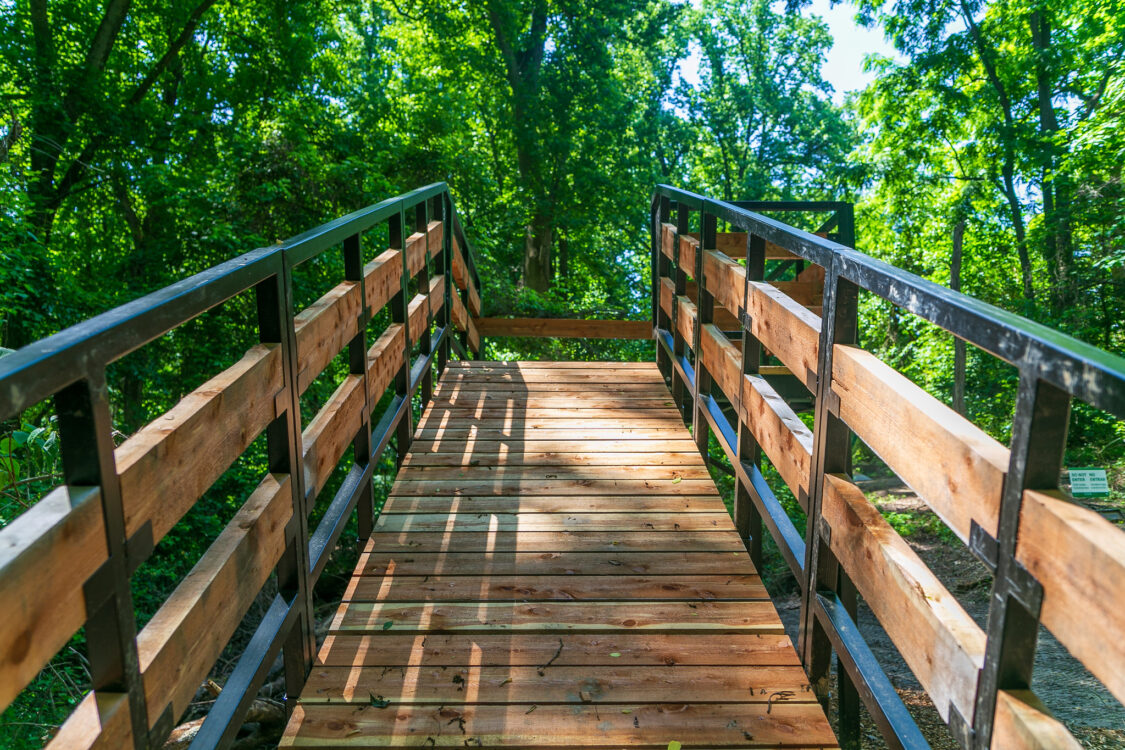 Wheaton Regional Park - Wheaton Gravity Mountain Bike Park - Montgomery ...