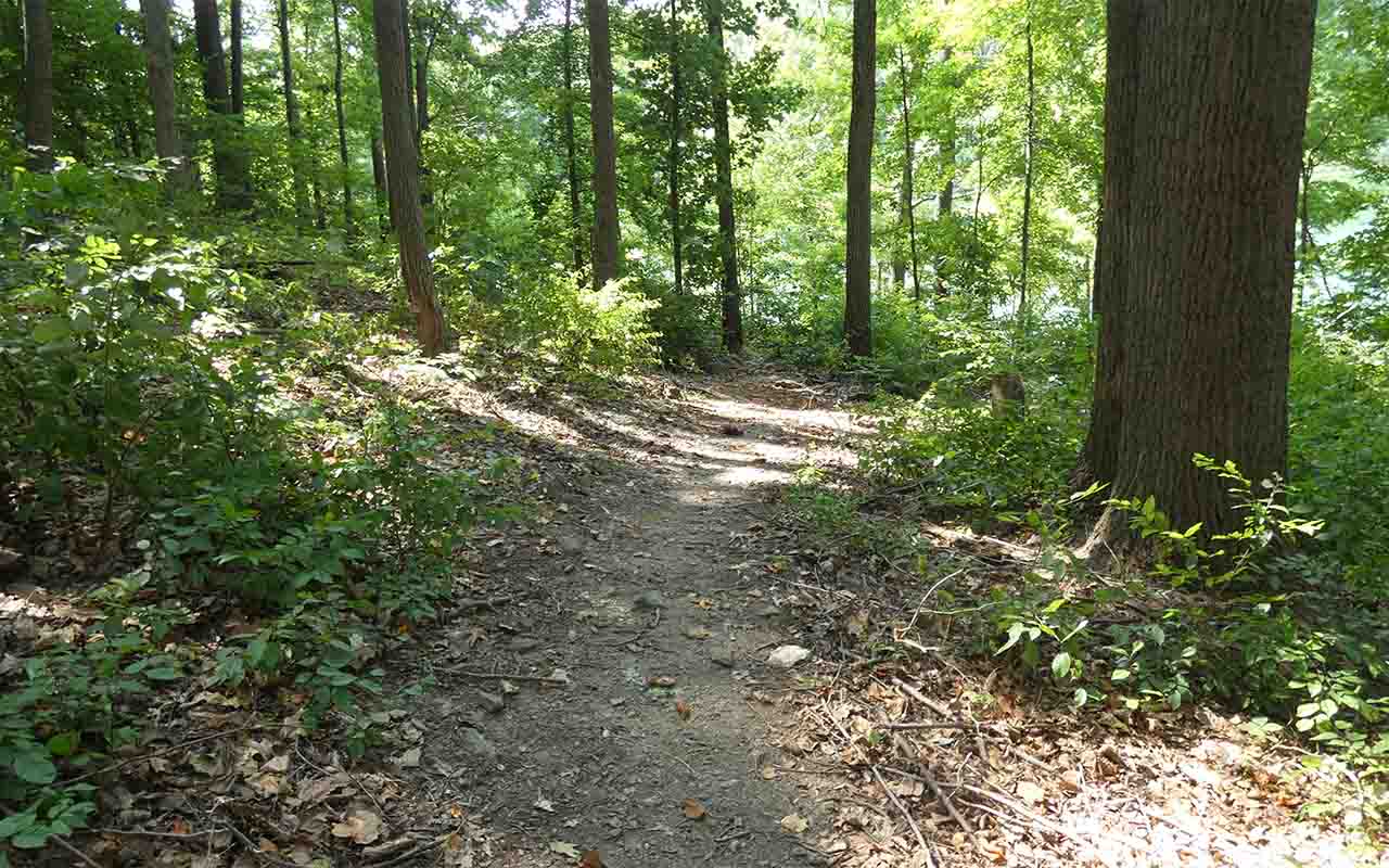  Black Hill Regional Park trail 