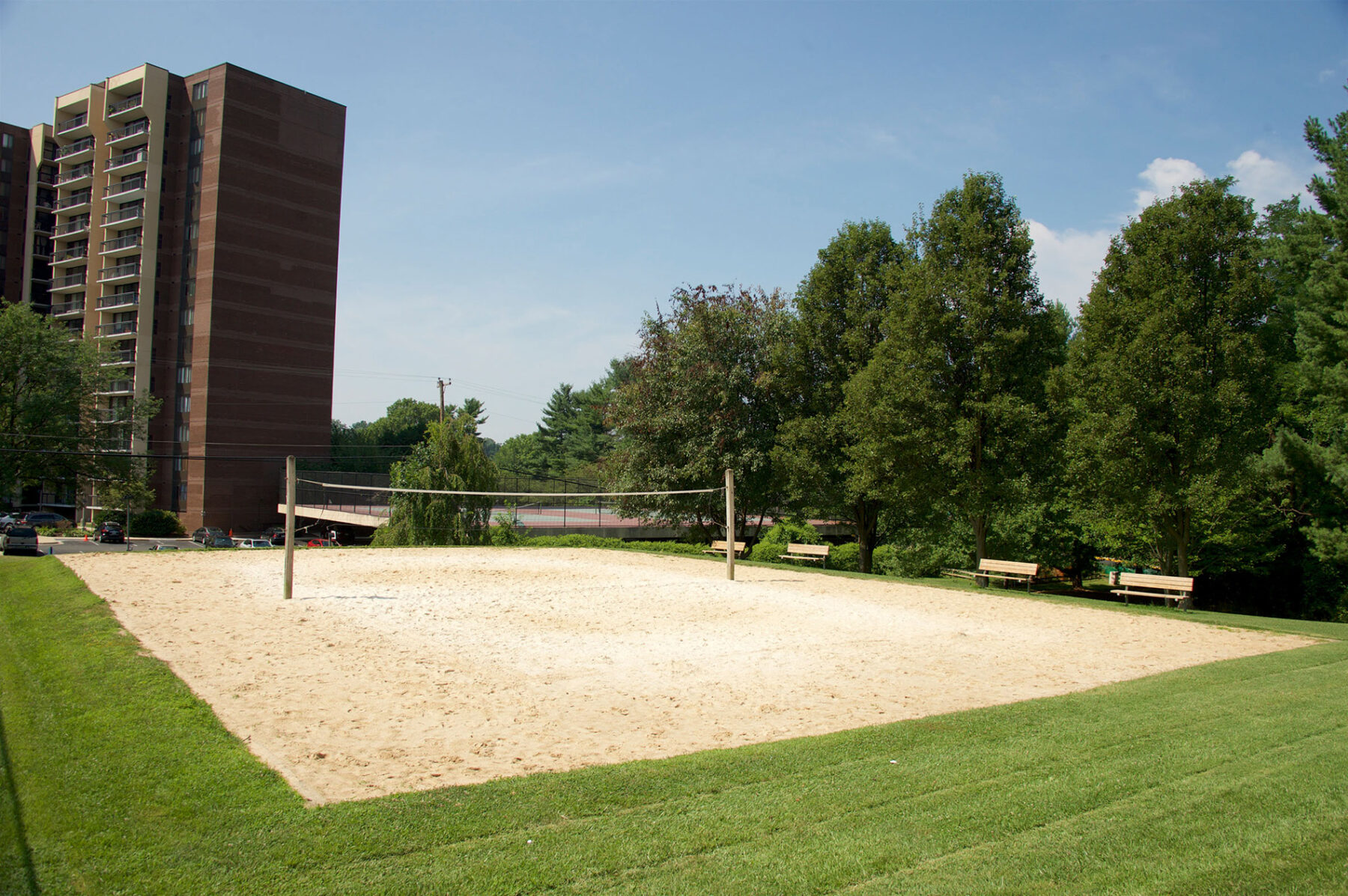 sand volleyball court cabin john regional park