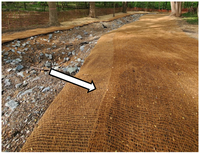 A recent stream restoration site, with a white arrow pointing to the installed erosion control matting