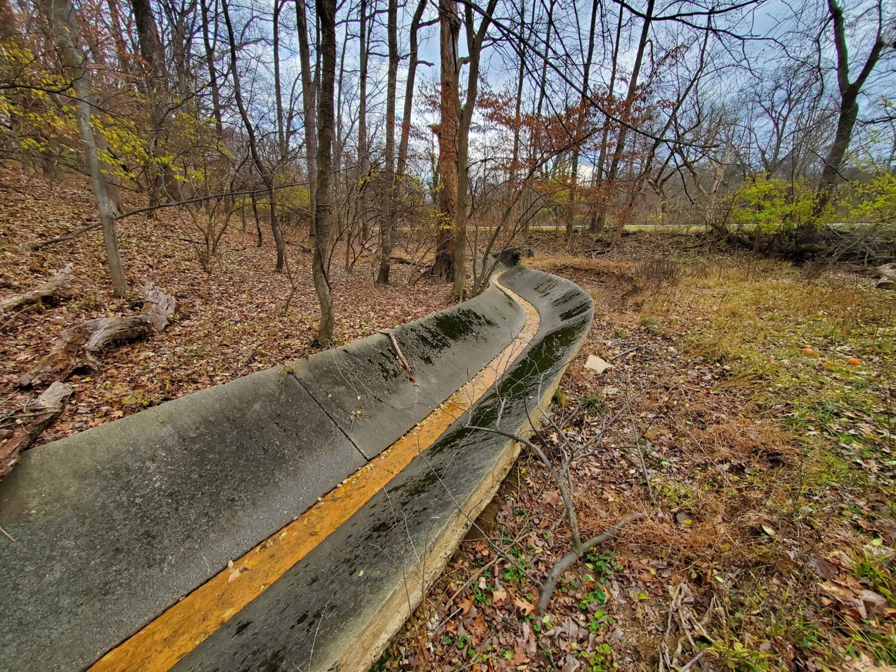 A concrete channel carrying stormwater flow in the woods.