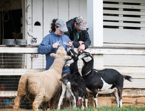 2 people with goats and sheep