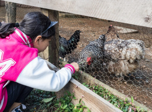 girl with chickens