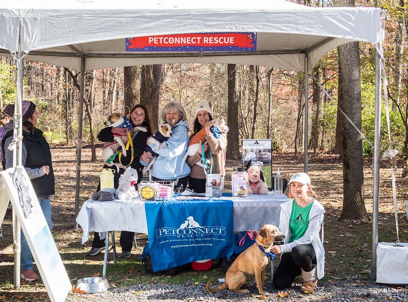 vendor petconnect rescue at holiday barket