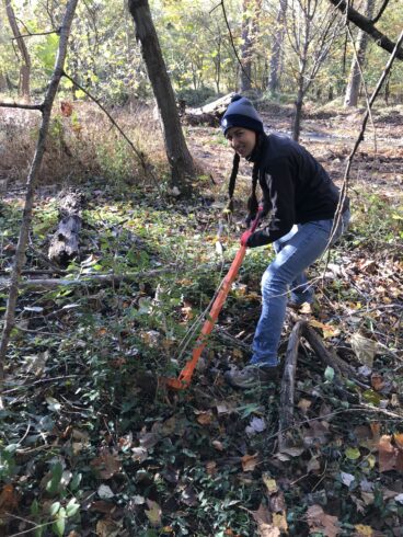 Volunteer uses a weed wrench