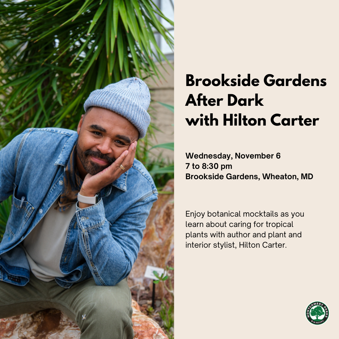 Headshot of Hilton Carter. Text reads, "Enjoy botanical mocktails as you learn about caring for tropical plants with author and plant and interior stylist, Hilton Carter."