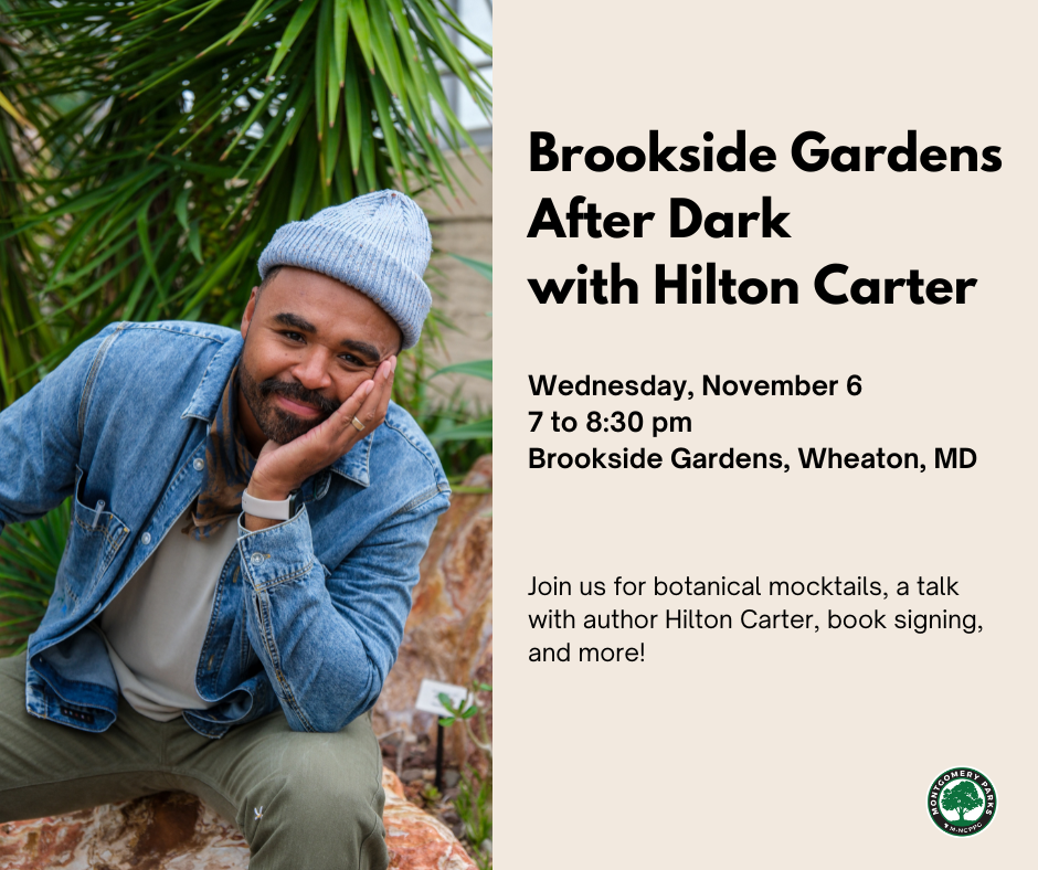 Headshot of Hilton Carter. Text reads, "Brookside Gardens After Dark with Hilton Carter. Wednesday, November 6, 7 to 8:30 pm. Brookside Gardens, Wheaton, MD. Join us for botanical mocktails, a talk with author Hilton Carter, book signing, and more!"