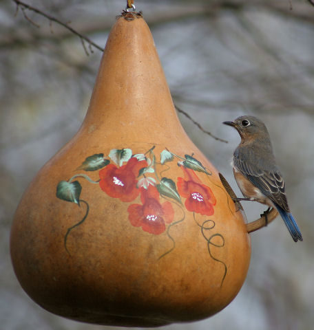 Painted gourd birdhouse with bird.