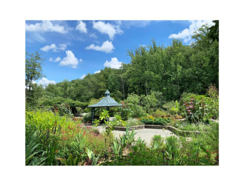 Fragrance Garden with summer tropical plants at Brookside Gardens