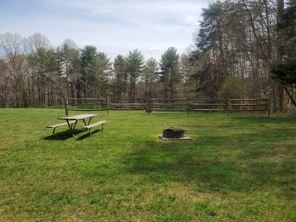 Picnic table and camp fire ring at little bennett regional park .