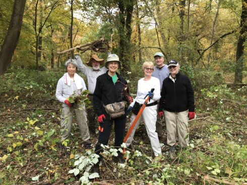 Volunteers holding up a large root