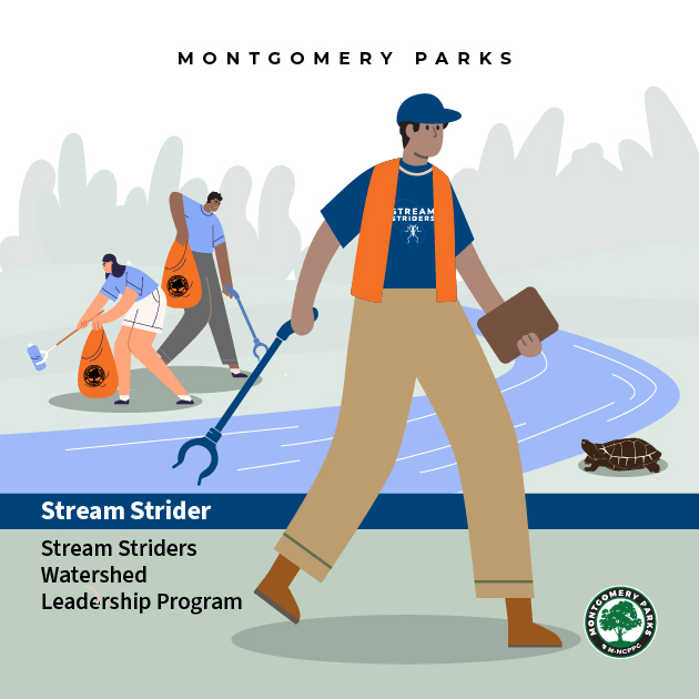 Branding for Stream Striders Watershed Leadership Program.