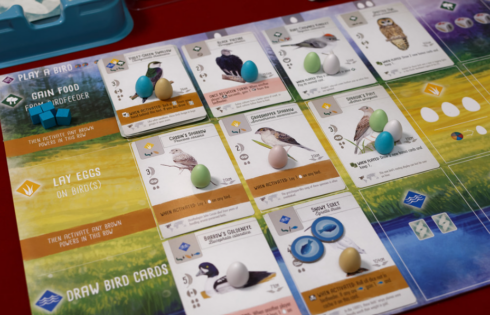 Game board and cards of birds.