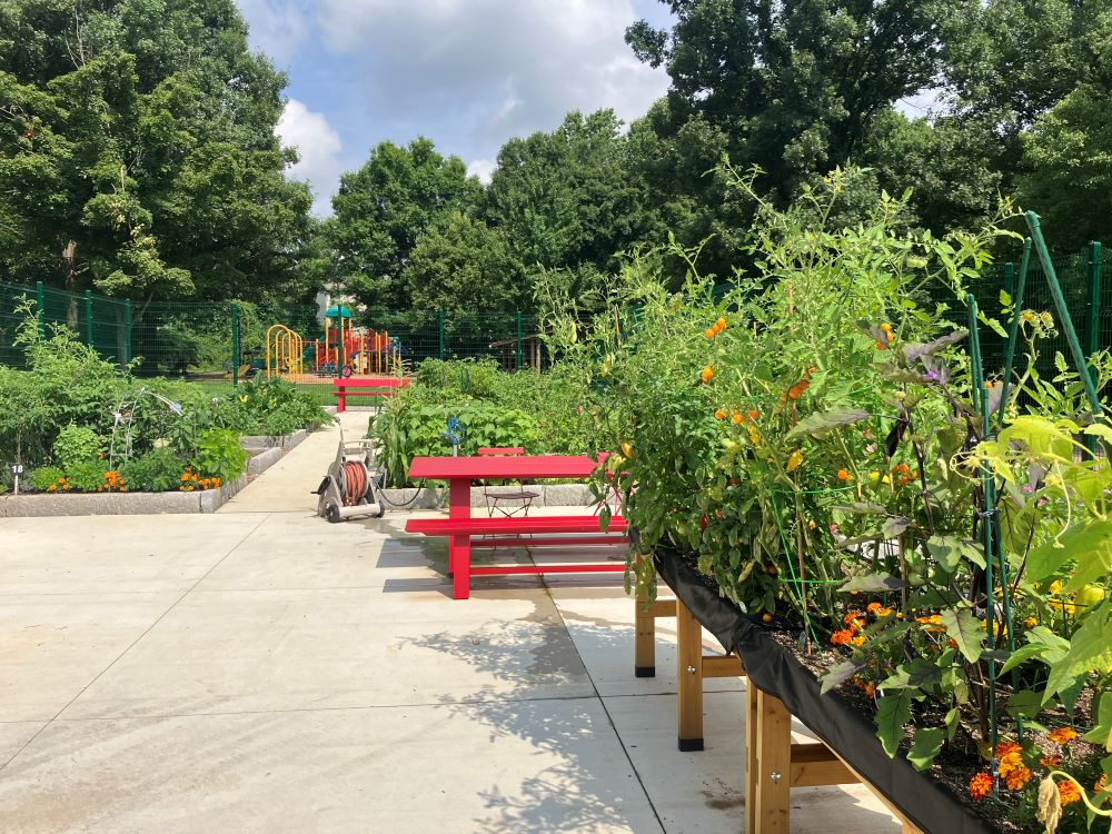 Edgewood Community Garden