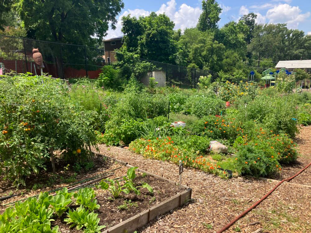 sligo mill overlook community garden