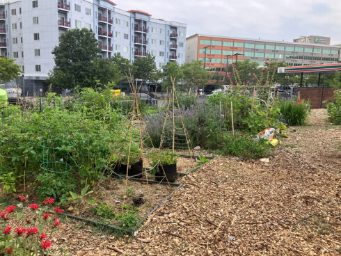 King Street Community Garden