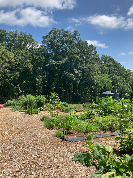 brink road community garden