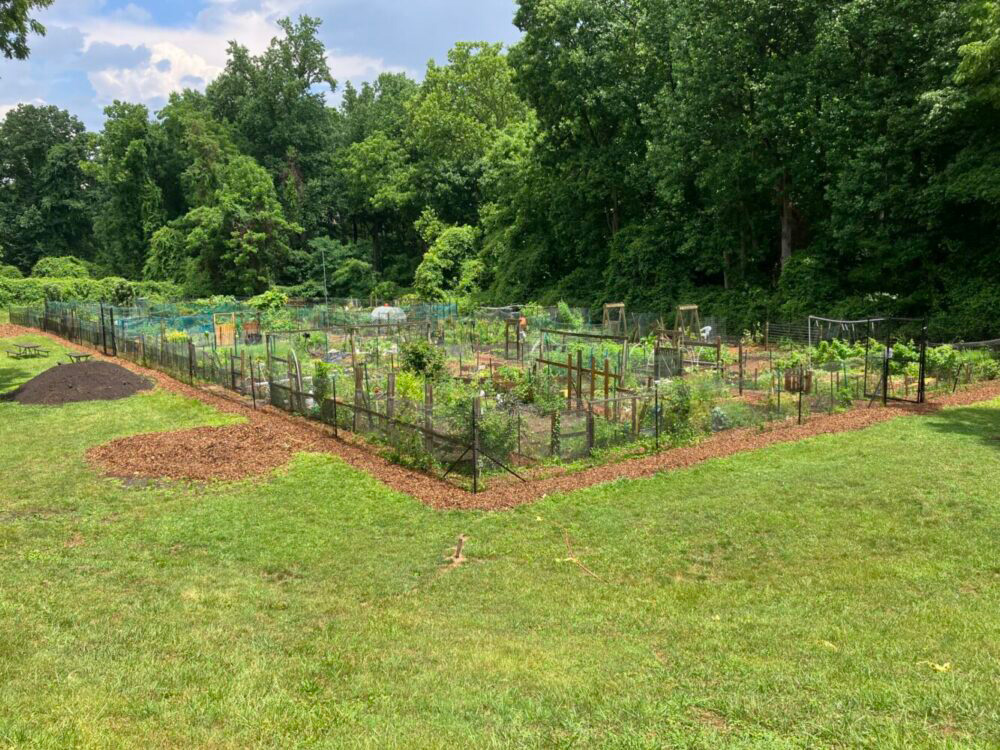 community garden parklawn