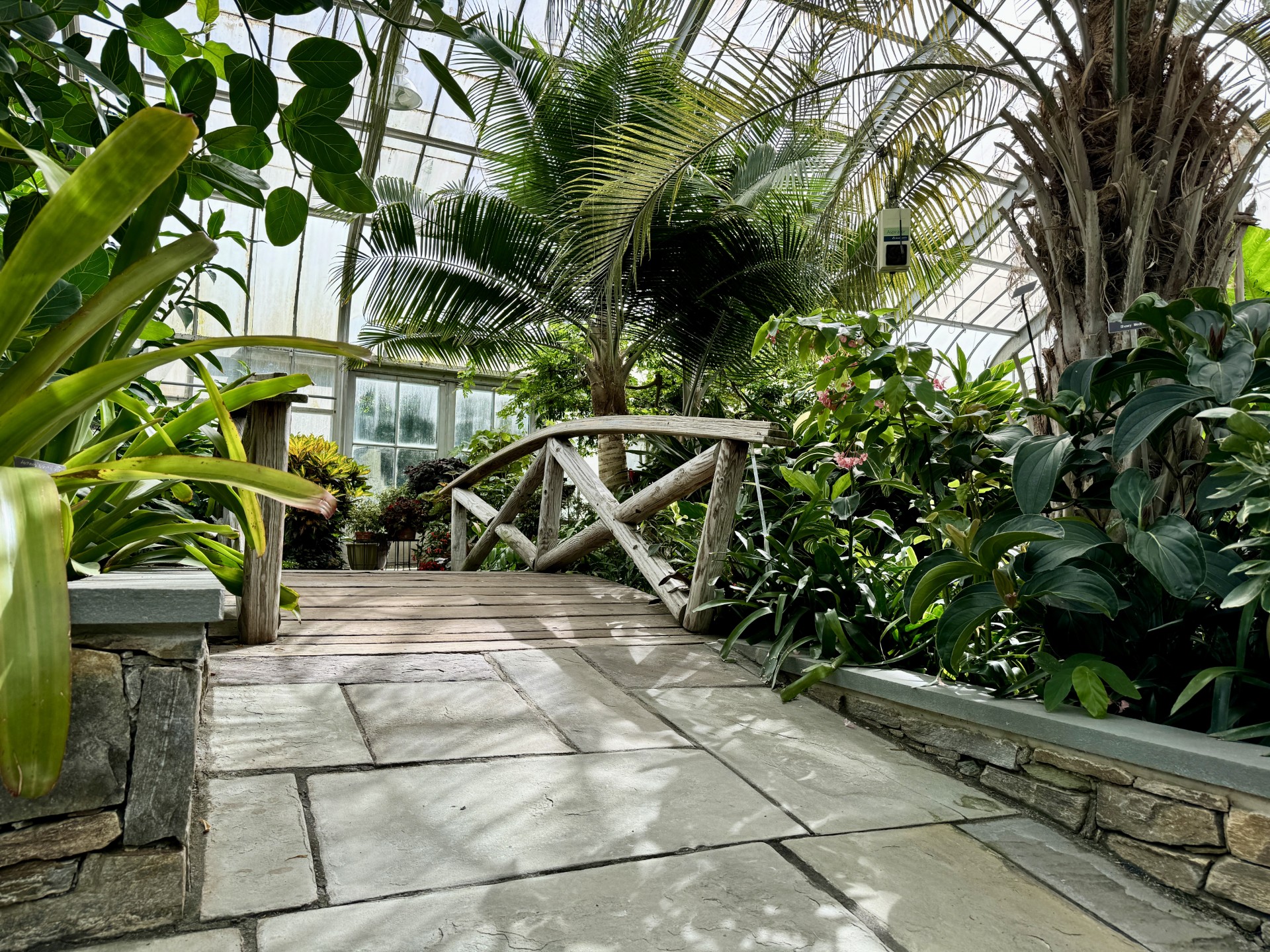 Brookside Gardens conservatory 