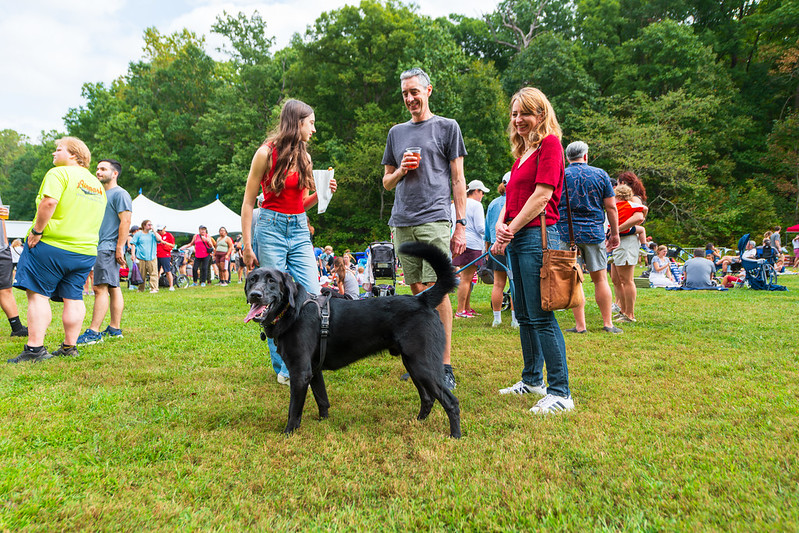 Smiling group of friends with black dog