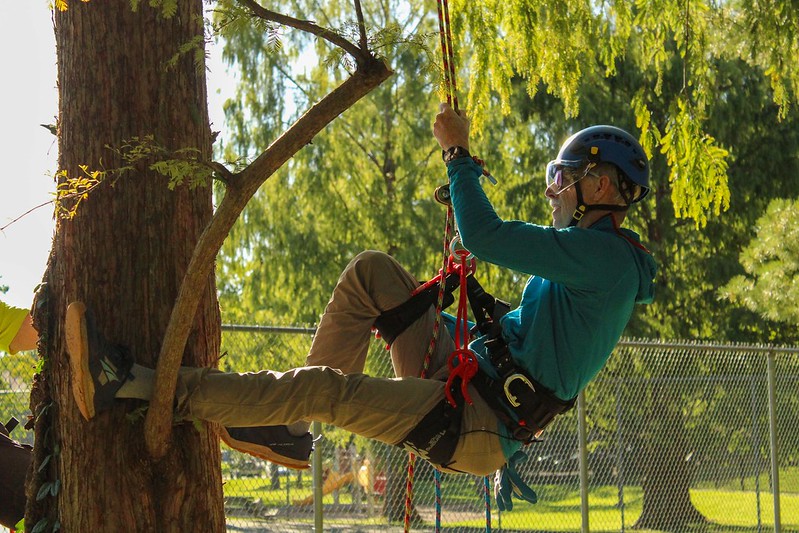 Attendee begins their ascent up tree, He has one leg out against tree.