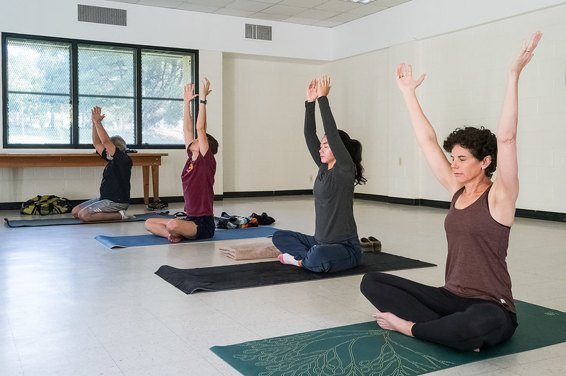 A group of people practicing yoga poses