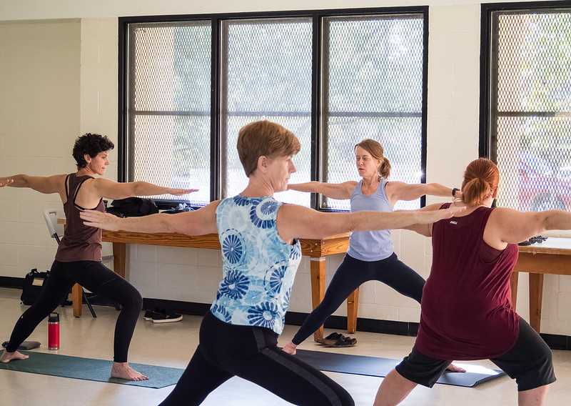 A group of people practicing yoga poses