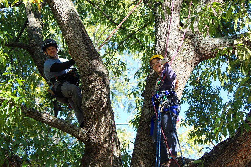 Attendee and instructor stand on a tree branch, high up in a tree smiling down at camera