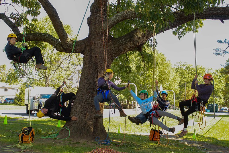 6 attendees hang from the tree wearing harnesses and ropes posing for the camera