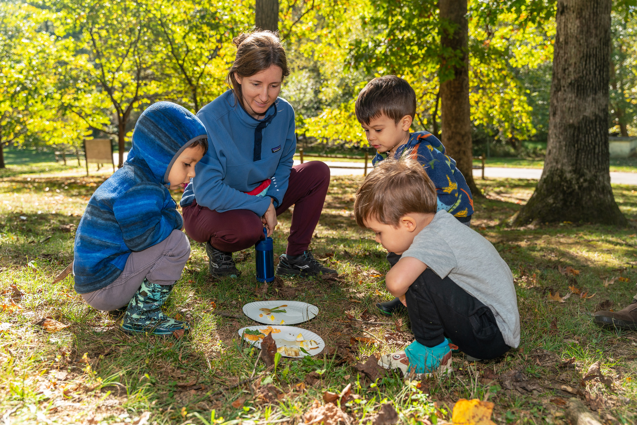 An adult and three children look at nature items