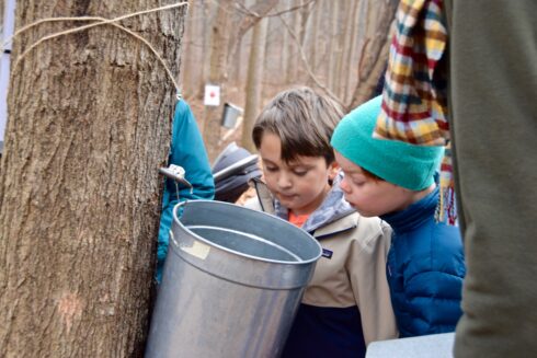 A group of children look into a maple sap collection bucket.