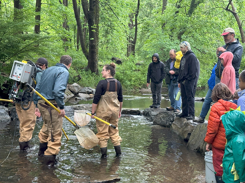 Staff demonstrates fishing with nets in a large creek with attendees watching from the rocks