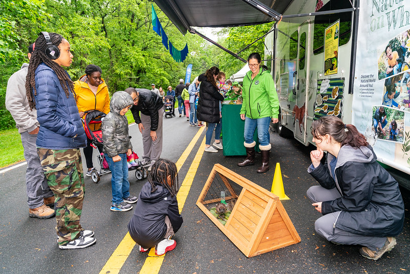 Kids getting excited around a small bird in a wooden cage