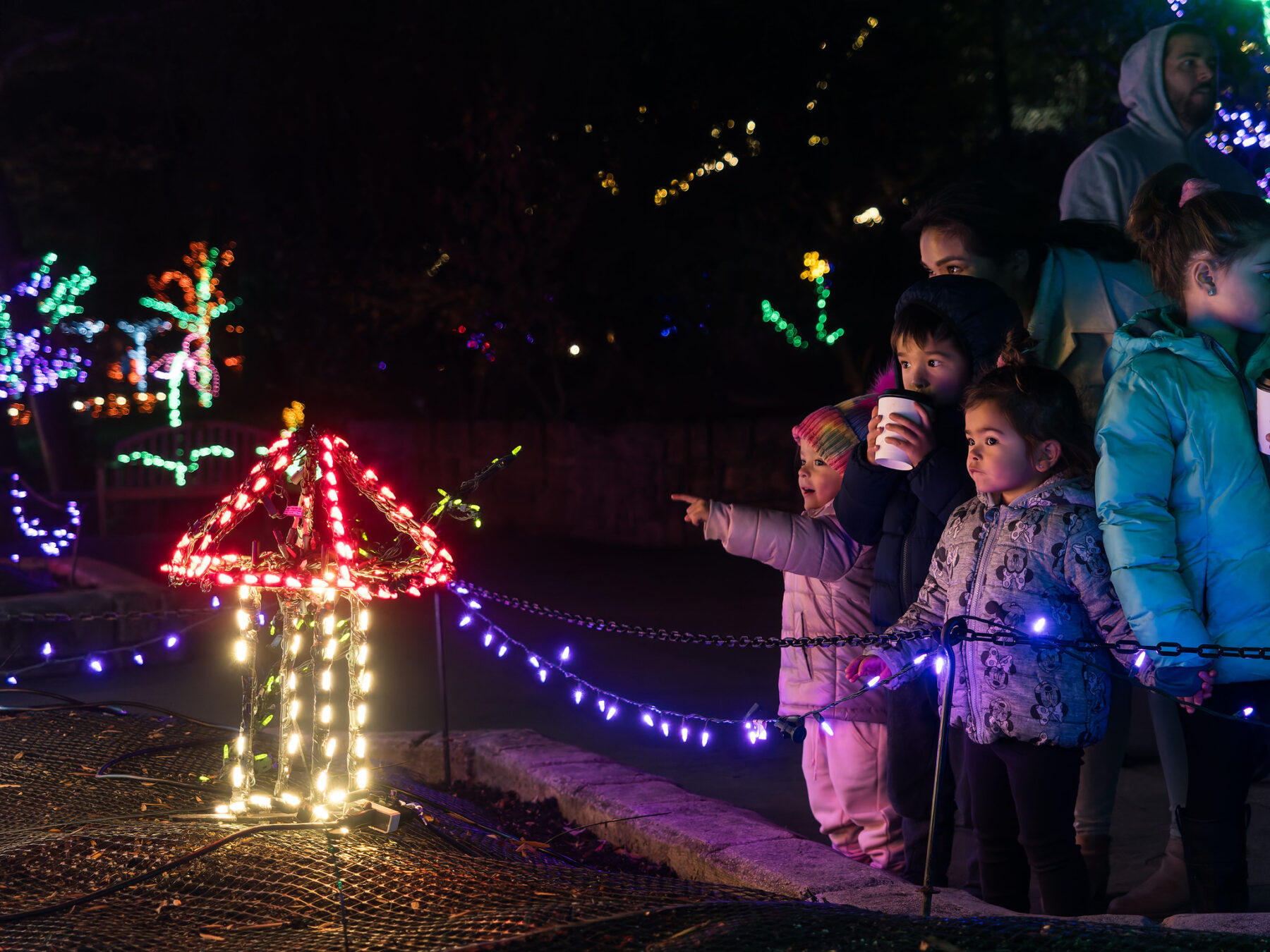 Children looking at lights