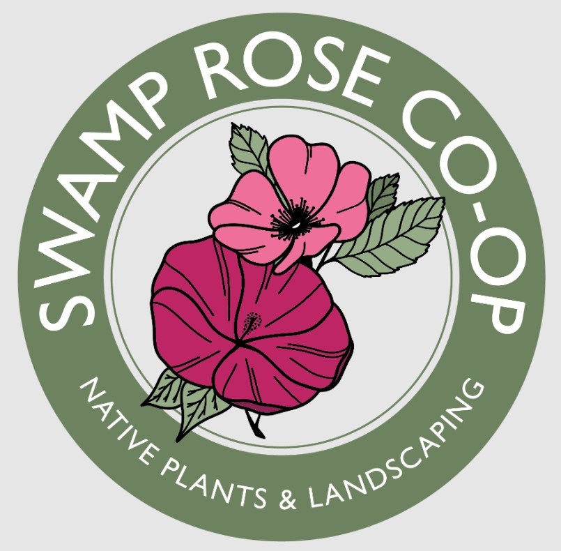 logo for Swamp Rose Co-Op