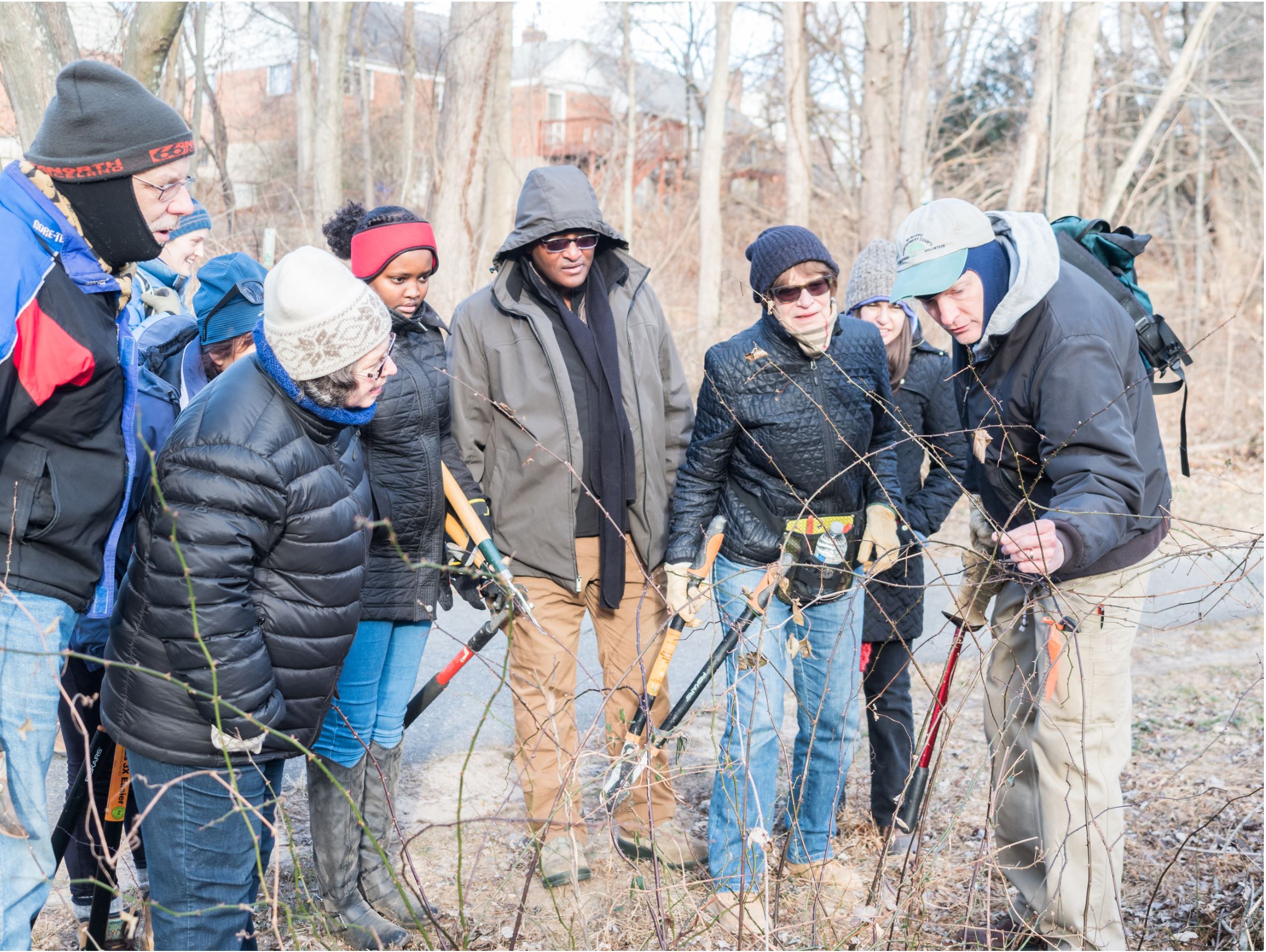 Weed Warrior teaching winter plant ID
