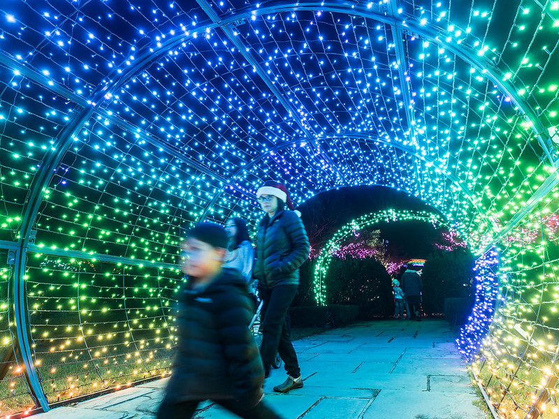 People walking through multicolored lighted tunnel.