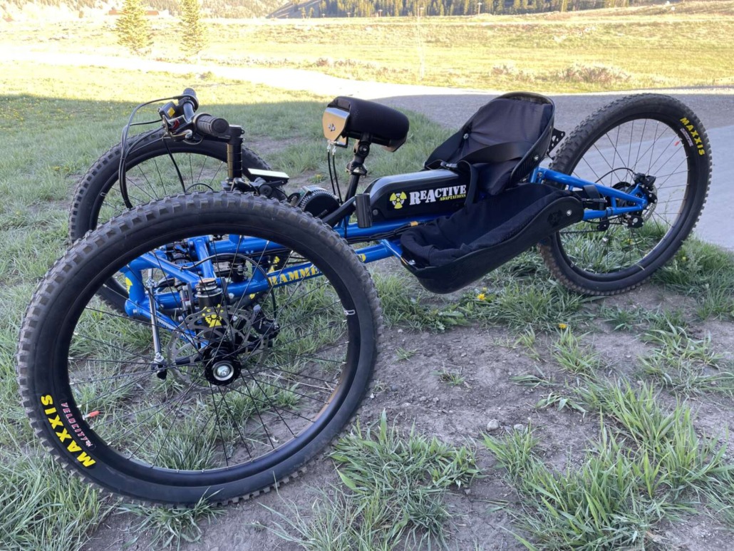 Hammerhead Adaptive Bike
